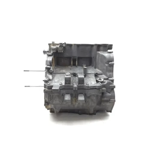 Honda 2021 Talon 1000R SXS10S2R Engine Upper Lower Center Cases Case 3455