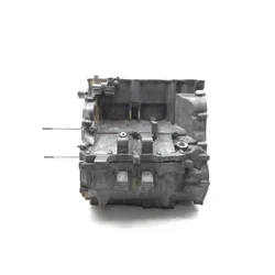 Honda 2021 Talon 1000R SXS10S2R Engine Upper Lower Center Cases Case 3455