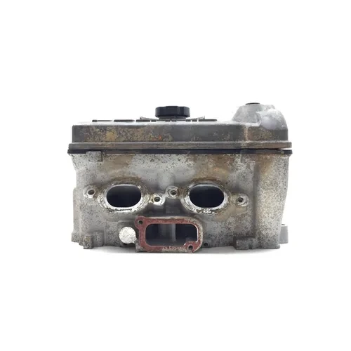 Polaris 2014 RZR 900 Engine Cylinder Head Complete W Valves 3456 x 4