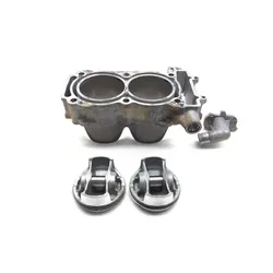Polaris 2014 RZR 900 Engine Cylinder Jug W Piston 3456 x 3022278