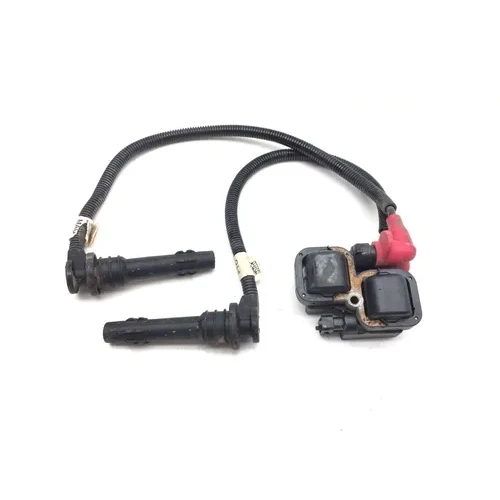 Polaris 2014 RZR 900 Ignition Coil 34564010425, 4012990, 4012991