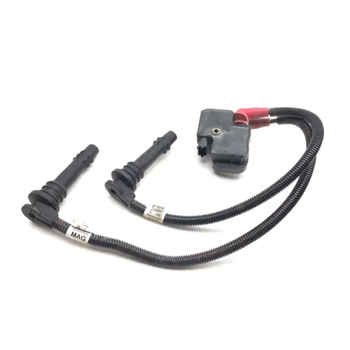 Polaris 2014 RZR 900 Ignition Coil 34564010425, 4012990, 4012991 4