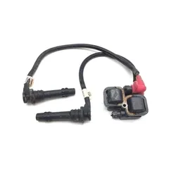 Polaris 2014 RZR 900 Ignition Coil 34564010425, 4012990, 4012991