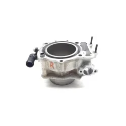 Arctic Cat 2015 Wildcat X 1000 4x4 EPS Engine Cylinder Jug Rear 3451 0804-061