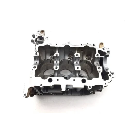 Can-Am 2021 Maverick X3 DS Turbo DPS Engine Upper Lower Center Cases Case 3450 5
