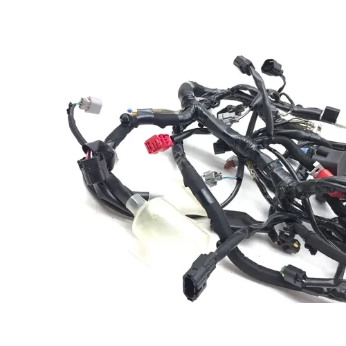 Kawasaki 2022 Ninja 650 EX650 Main Engine Wiring Harness 3458 26031-2878 2