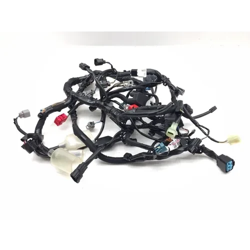 Kawasaki 2022 Ninja 650 EX650 Main Engine Wiring Harness 3458 26031-2878