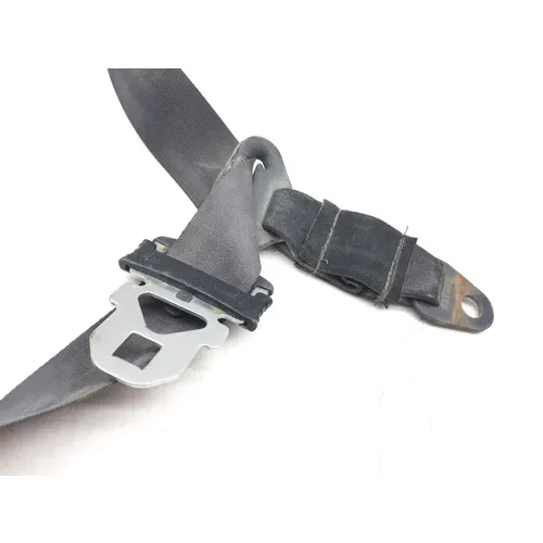 Kawasaki 2023 Teryx KRX4 1000 KRF1000 Special Edition Rear Seat Belt A 3453 2