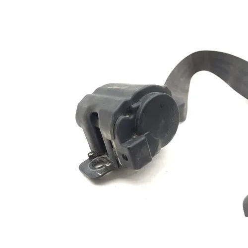 Kawasaki 2023 Teryx KRX4 1000 KRF1000 Special Edition Rear Seat Belt A 3453 4