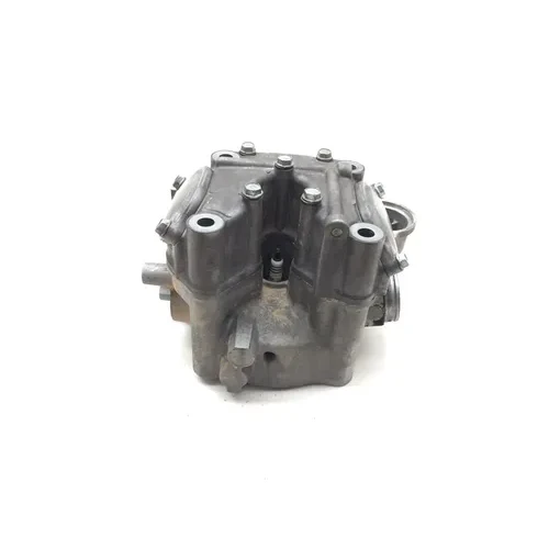 Honda 2002 Foreman Rubicon 500 TRX500FA Cylinder Head Complete W Valves 3461