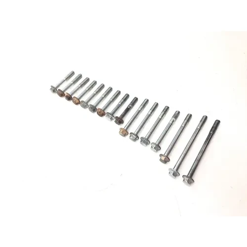 Honda 2002 Foreman Rubicon 500 TRX500FA 4x4 Engine Center Cases Case Bolts 3461 3
