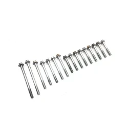 Honda 2002 Foreman Rubicon 500 TRX500FA 4x4 Engine Center Cases Case Bolts 3461