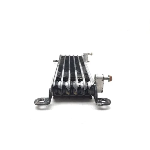 Honda 2002 Foreman Rubicon 500 TRX500FA 4x4 Engine Oil Cooler with Lines 3461 6
