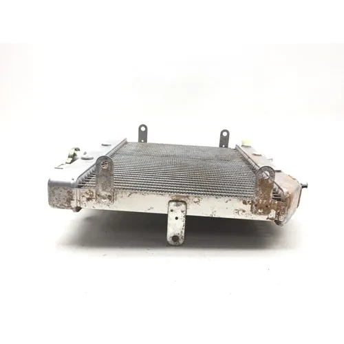 Honda 2002 Foreman Rubicon 500 TRX500FA 4x4 Engine Radiator Cooling 3461 5