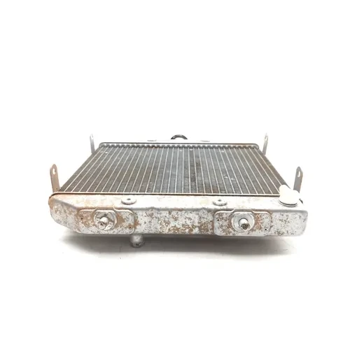 Honda 2002 Foreman Rubicon 500 TRX500FA 4x4 Engine Radiator Cooling 3461 2
