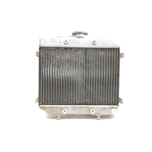 Honda 2002 Foreman Rubicon 500 TRX500FA 4x4 Engine Radiator Cooling 3461