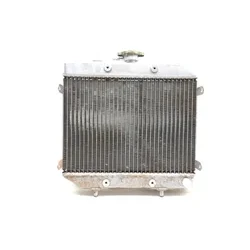 Honda 2002 Foreman Rubicon 500 TRX500FA 4x4 Engine Radiator Cooling 3461