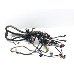 2020 Kawasaki Teryx 800 KRF800 LE Main Engine Wiring Harness 3449 26031-2424
