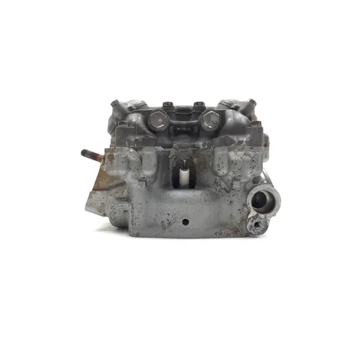 2020 Kawasaki Teryx 800 KRF800 LE Cylinder Head Complete W Valves Front 3449 9
