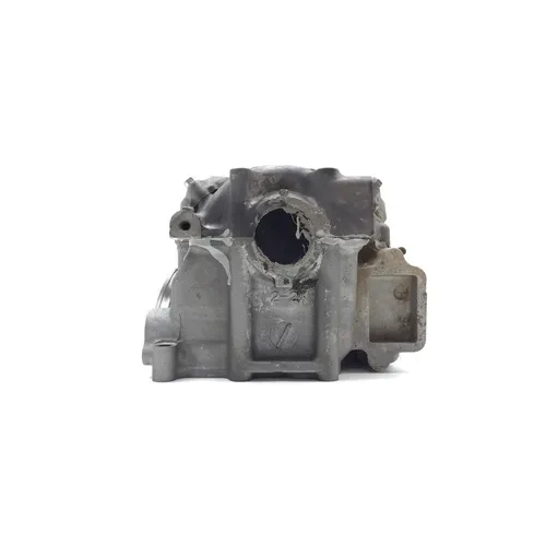 2020 Kawasaki Teryx 800 KRF800 LE Cylinder Head Complete W Valves Front 3449 11