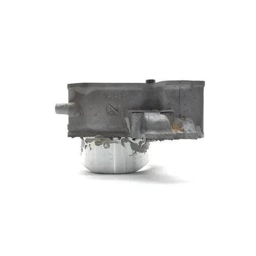 2020 Kawasaki Teryx 800 KRF800 LE Engine Cylinder Jug W Piston Front 3449 x 4