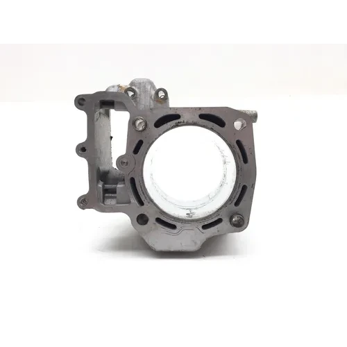 2020 Kawasaki Teryx 800 KRF800 LE Engine Cylinder Jug W Piston Front 3449 x 6