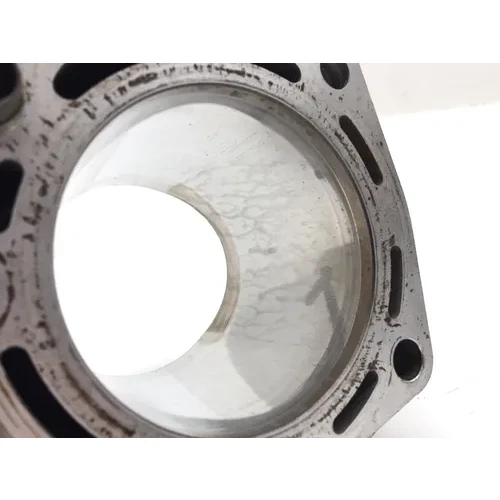 2020 Kawasaki Teryx 800 KRF800 LE Engine Cylinder Jug W Piston Rear 3449 7