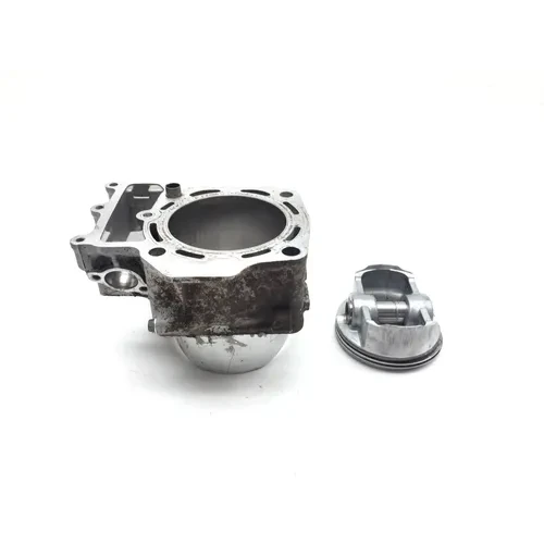2020 Kawasaki Teryx 800 KRF800 LE Engine Cylinder Jug W Piston Rear 3449