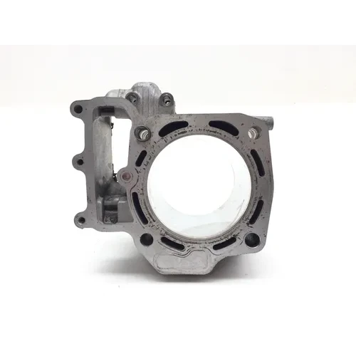 2020 Kawasaki Teryx 800 KRF800 LE Engine Cylinder Jug W Piston Rear 3449 6