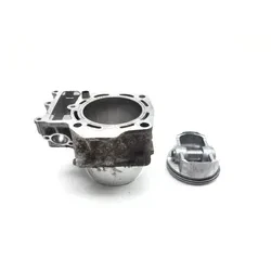 2020 Kawasaki Teryx 800 KRF800 LE Engine Cylinder Jug W Piston Rear 3449