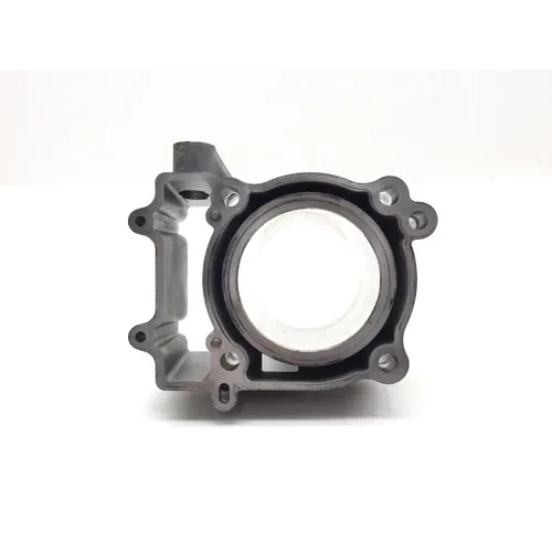 2023 Sportsman 450 HO EPS Engine Cylinder Jug W Piston 3467 6