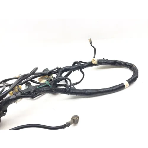 2003 Honda Foreman Rubicon 500 Main Engine Wiring Harness 3463 32100-HN2-000 3
