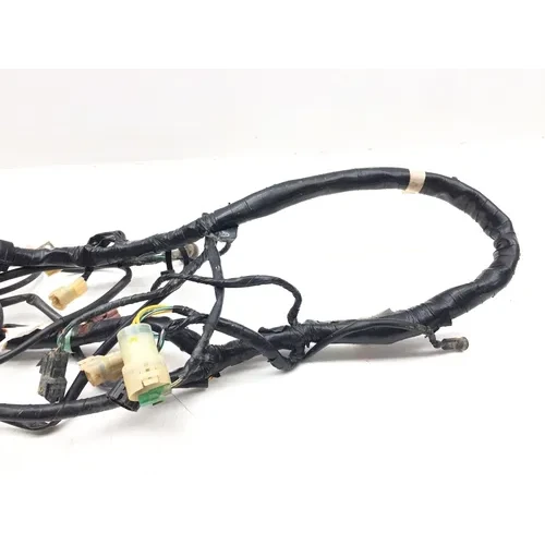 2003 Honda Foreman Rubicon 500 Main Engine Wiring Harness 3463 32100-HN2-000 4