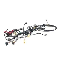 2003 Honda Foreman Rubicon 500 Main Engine Wiring Harness 3463 32100-HN2-000