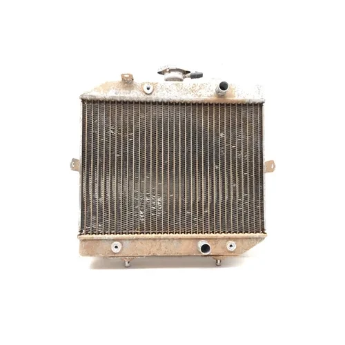 2001 Honda Foreman Rubicon 500 Engine Radiator Cooling 3462 19010-HN2-003