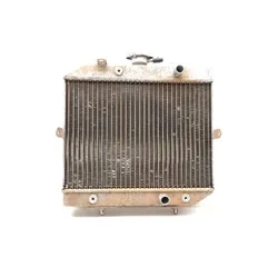 2001 Honda Foreman Rubicon 500 Engine Radiator Cooling 3462 19010-HN2-003