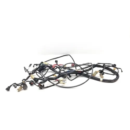 2001 Honda Foreman Rubicon 500 Main Engine Wiring Harness 3464 32100-HN2-000