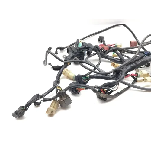2001 Honda Foreman Rubicon 500 Main Engine Wiring Harness 3464 32100-HN2-000 2