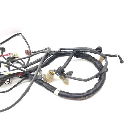 2001 Honda Foreman Rubicon 500 Main Engine Wiring Harness 3464 32100-HN2-000 4