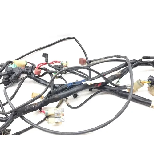2001 Honda Foreman Rubicon 500 Main Engine Wiring Harness 3464 32100-HN2-000 3