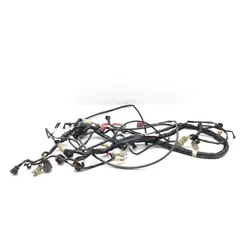 2001 Honda Foreman Rubicon 500 Main Engine Wiring Harness 3464 32100-HN2-000