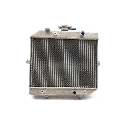 2001 Honda Foreman Rubicon 500 Engine Radiator Cooling 3464 19010-HN2-003