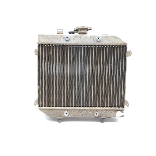 2001 Honda Foreman Rubicon 500 Engine Radiator Cooling 3464 19010-HN2-003 6