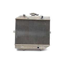 2001 Honda Foreman Rubicon 500 Engine Radiator Cooling 3464 19010-HN2-003
