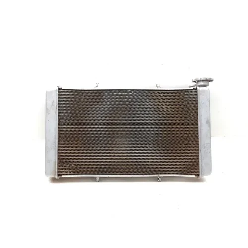 2014 Yamaha Viking 700 Engine Radiator Cooling 3468 1XD-E2461-00-00 7