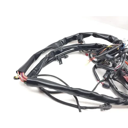 2001 Harley-Davidson Road King FLHR Main Engine Wiring Harness 3452 70245-01 3