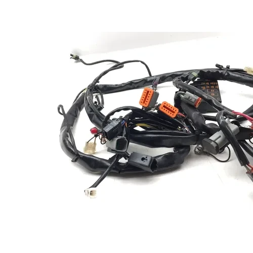 2001 Harley-Davidson Road King FLHR Main Engine Wiring Harness 3452 70245-01 8