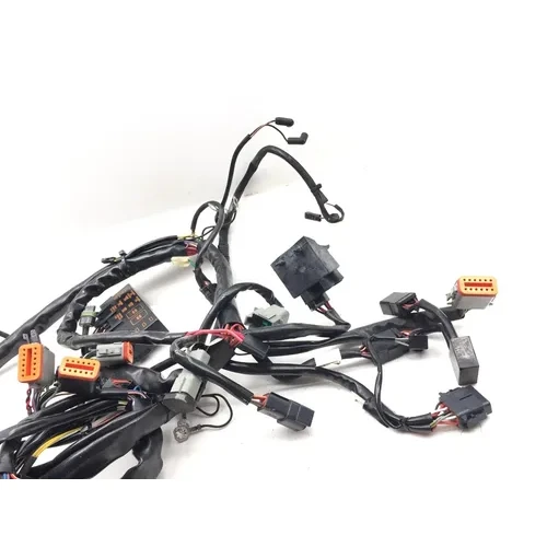 2001 Harley-Davidson Road King FLHR Main Engine Wiring Harness 3452 70245-01 7