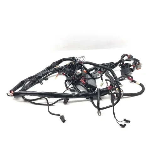 2001 Harley-Davidson Road King FLHR Main Engine Wiring Harness 3452 70245-01