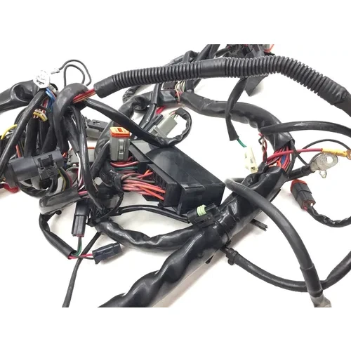 2001 Harley-Davidson Road King FLHR Main Engine Wiring Harness 3452 70245-01 4